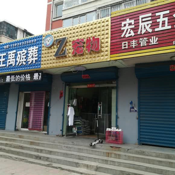 z宠物:阳泉市矿区