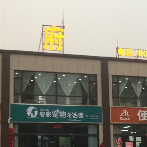 安家宠物生活馆:阳泉市盂县
