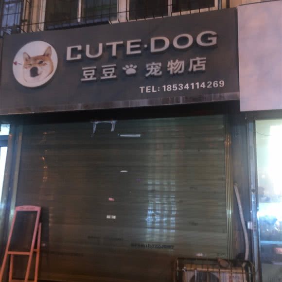 豆豆宠物店:长治市潞州区