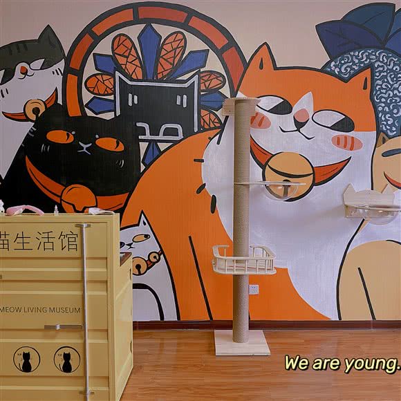 美喵生活馆:长治市潞州区