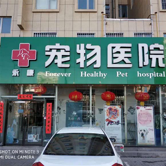 永康宠物门诊:长治市潞州区