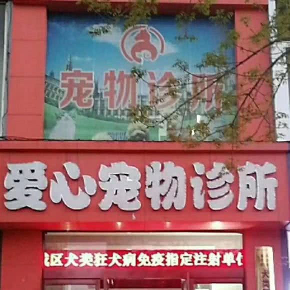 爱心宠物诊所:长治市潞州区