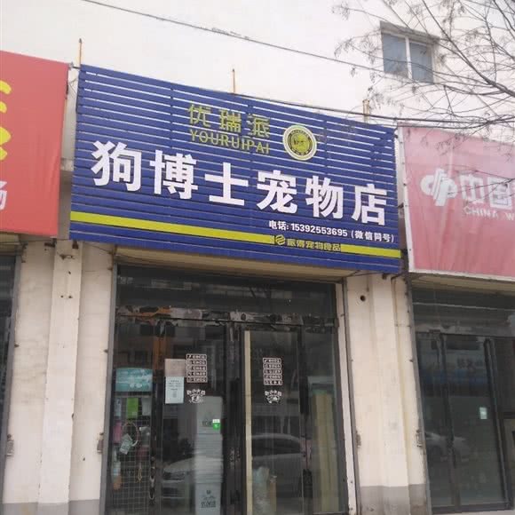 狗教授宠物店:长治市长子县