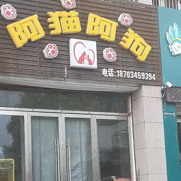 阿猫阿狗:长治市长子县