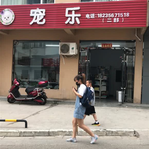 宠乐:晋城市城区