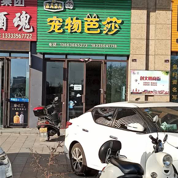 宠物芭莎:晋城市城区