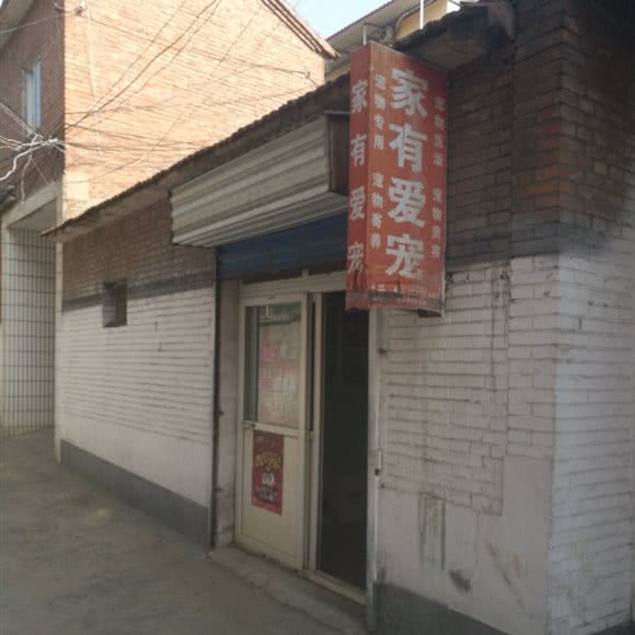 家有爱宠(泰欣街店):晋城市城区