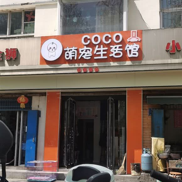 Coco萌宠生活馆:晋城市城区