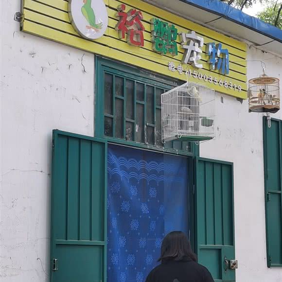 裕鹦宠物:晋城市高平市
