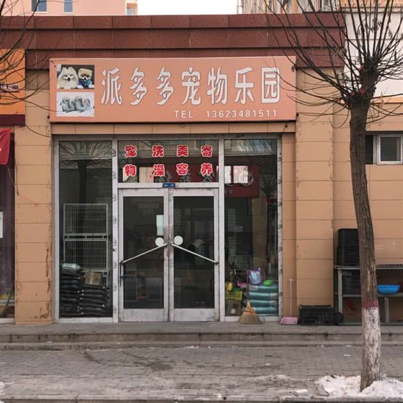 派多多宠物乐园:朔州市朔城区