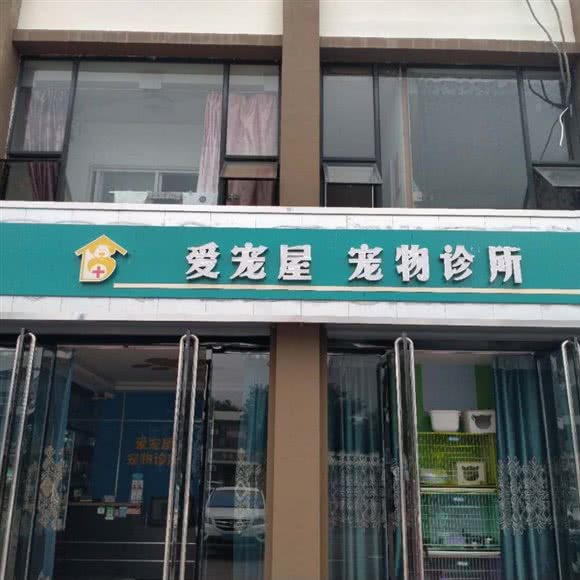 爱宠屋:晋中市平遥县