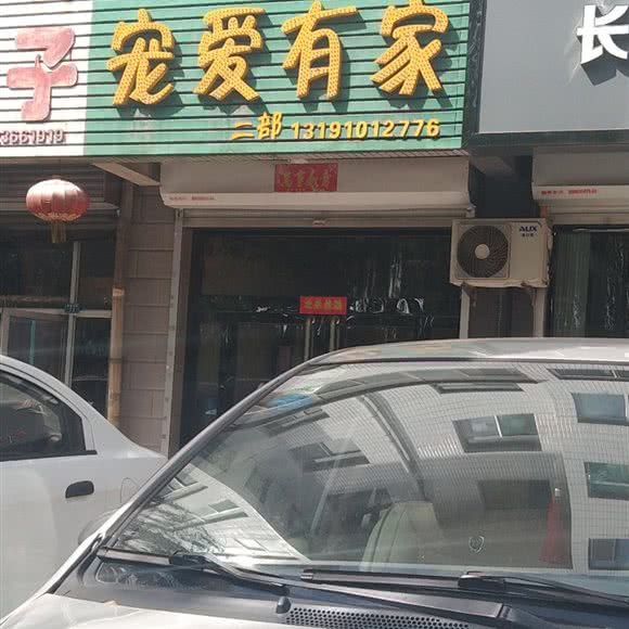 宠爱有家:晋中市介休市