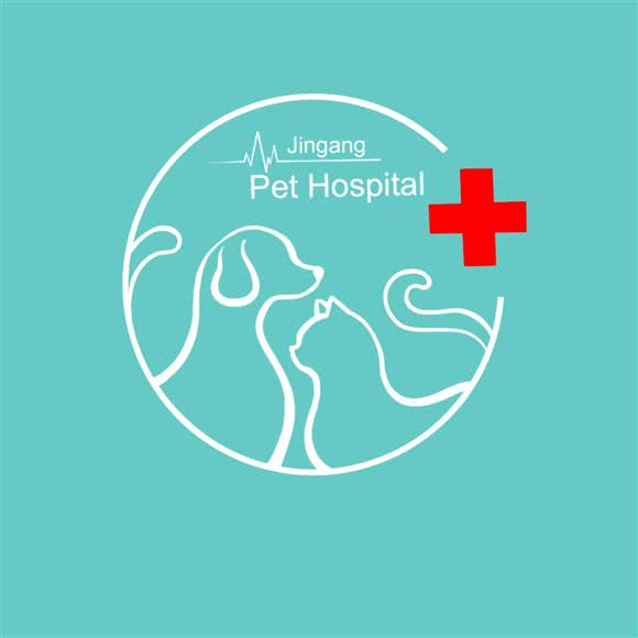 金刚宠物诊疗中心(南环东路店):运城市盐湖区