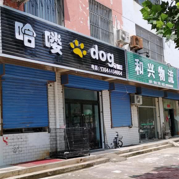 哈喽dog宠物馆:运城市临猗县