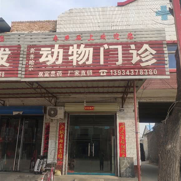 齐齐哈尔动物门诊:运城市临猗县