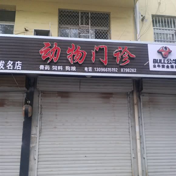 动物门诊:运城市绛县