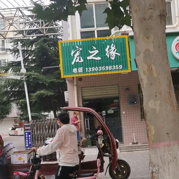 宠之缘:运城市芮城县