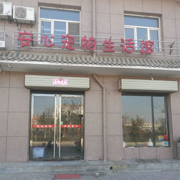 安心宠物生活馆(滨河西路店):运城市永济市