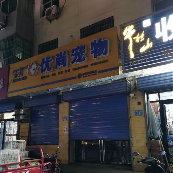 优尚宠物狗:运城市永济市