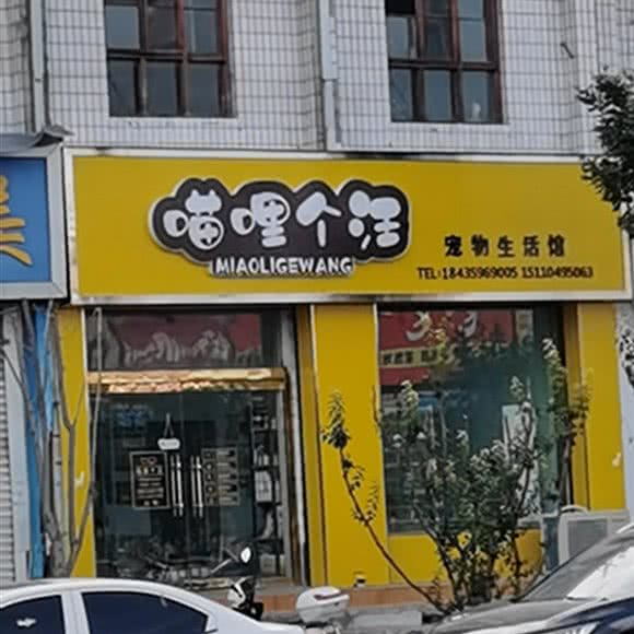 喵哩个汪宠物生活馆:运城市河津市