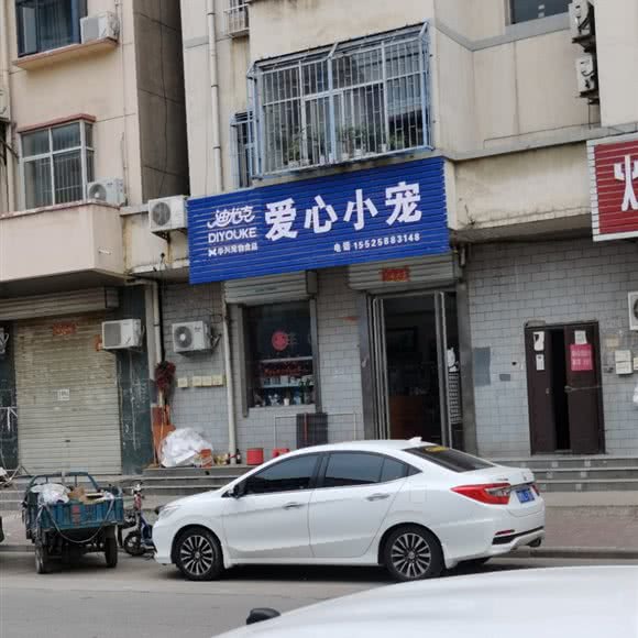 爱心小宠:运城市河津市