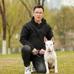 爱狗宠物:运城市河津市