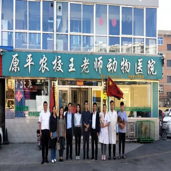原平农校动物医院(原平店):忻州市原平市