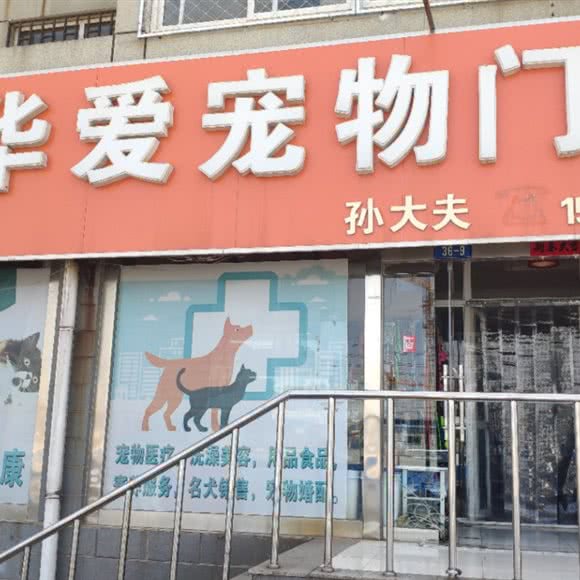 华爱宠物门诊:沧州市新华区意明商场附近
