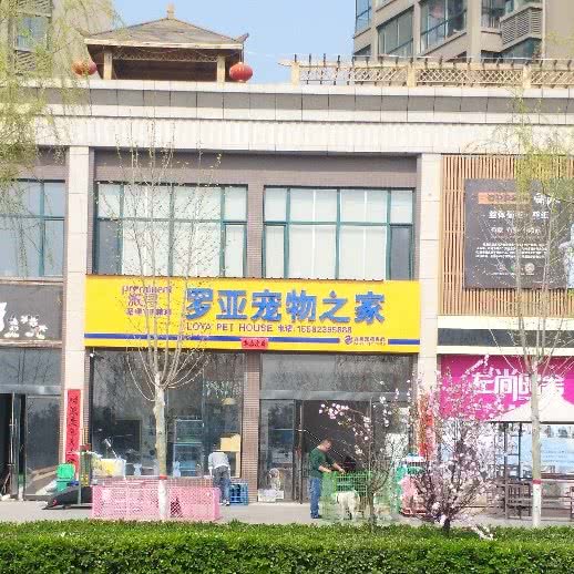 罗亚宠物之家:临汾市襄汾县