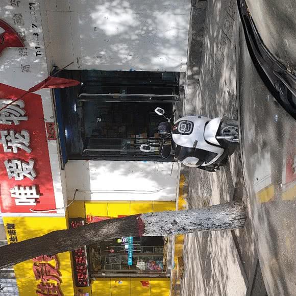 唯爱宠物:临汾市洪洞县