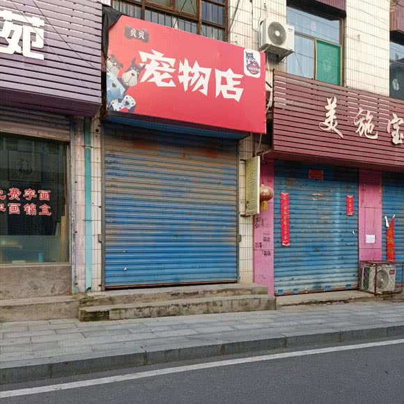 贝贝宠物店:临汾市浮山县