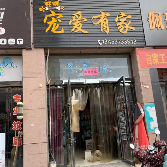 旺旺宠爱有家:临汾市隰县