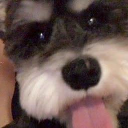 派特宠物生活馆:临汾市侯马市