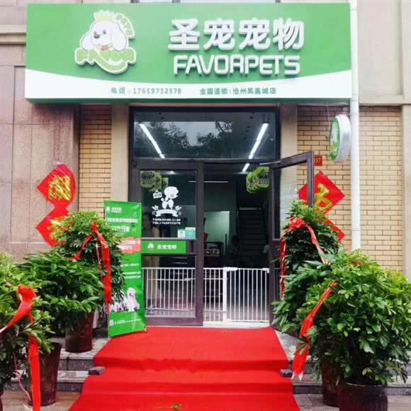 圣宠宠物(凤凰城店):沧州市运河区荣盛国际购物广场附近