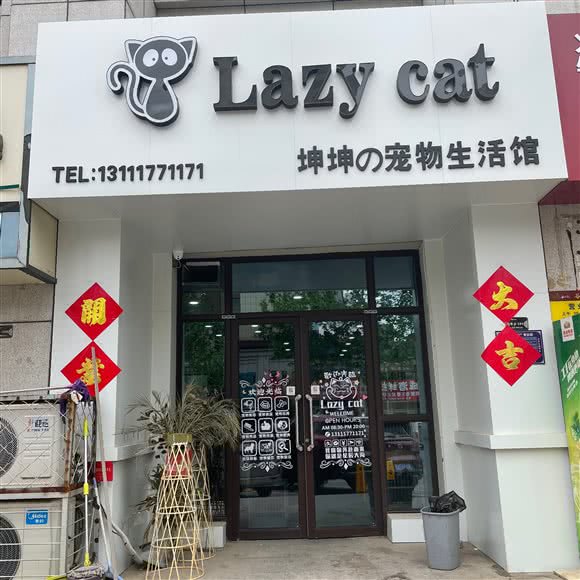 Lazy cat坤坤的宠物店:沧州市运河区荣盛国际购物广场附近