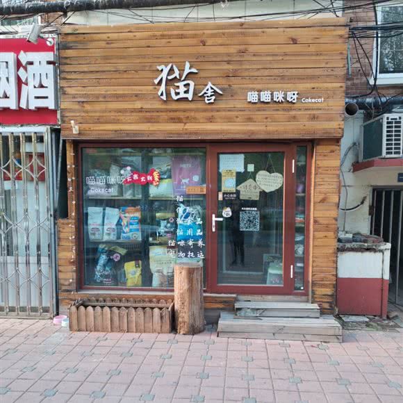 猫舍喵喵咪呀:沧州市运河区华北三期附近