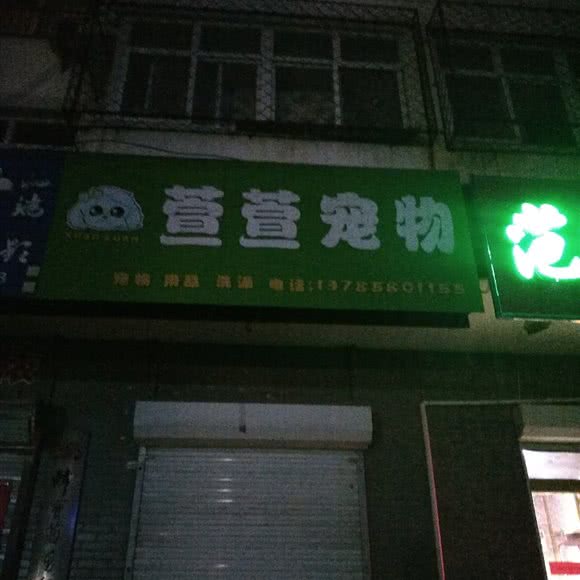 萱萱宠物:沧州市运河区南湖盐百附近