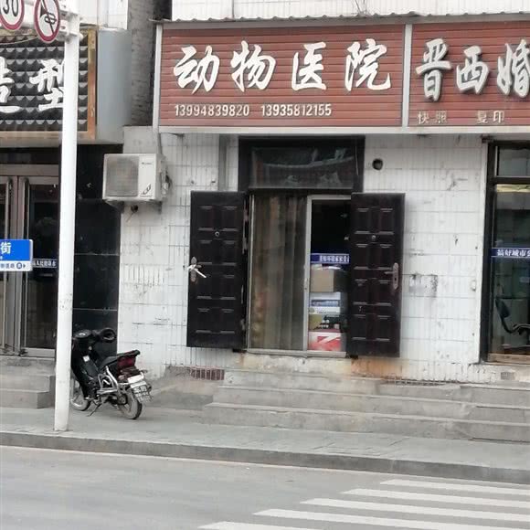 动物医院:吕梁市石楼县