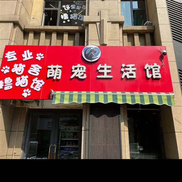 萌宠生活馆·撸猫园:吕梁市孝义市