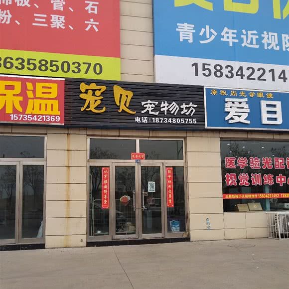 宠贝宠物坊:吕梁市孝义市