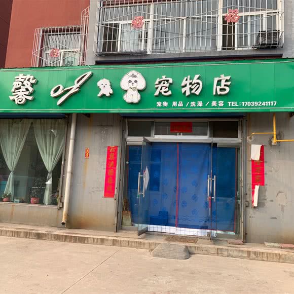 馨of宠物店:吕梁市孝义市