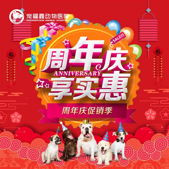 宠福鑫动物医院(诚爱分院):北京城区朝阳区管庄附近