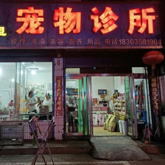 犬联盟宠物诊所:吕梁市孝义市