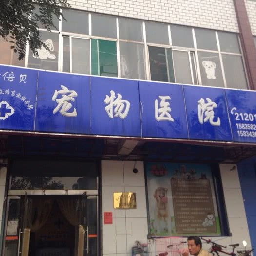金倍贝宠物医院:吕梁市孝义市