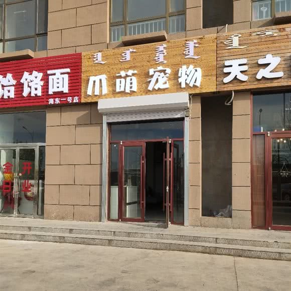 爪萌宠物:呼和浩特市新城区