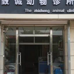 致诚动物诊所:呼和浩特市新城区