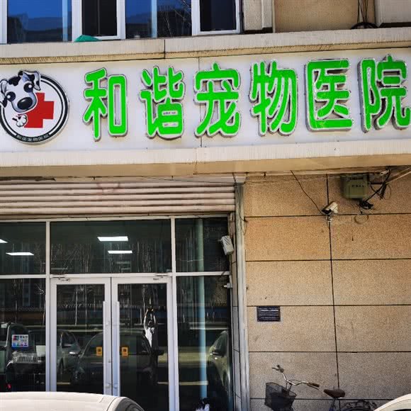 和谐动物医院:呼和浩特市新城区