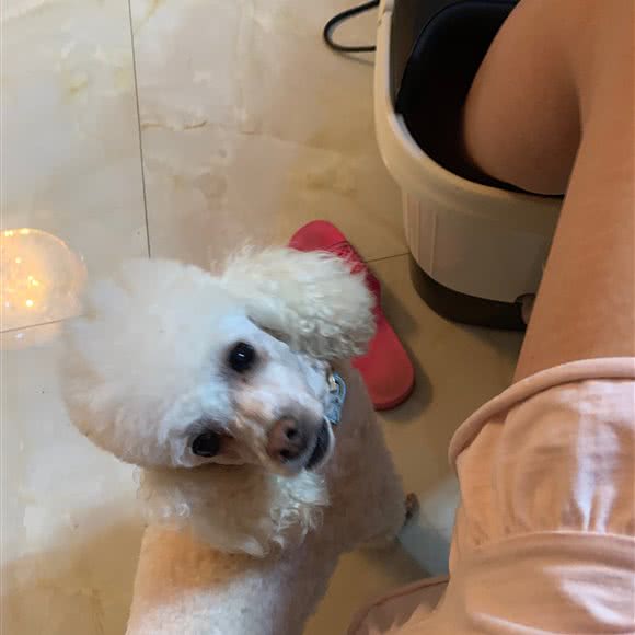 真宇动物医院(多本熊宠物):呼和浩特市新城区