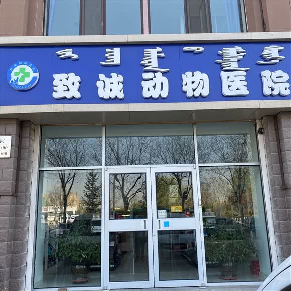 致诚动物医院:呼和浩特市新城区