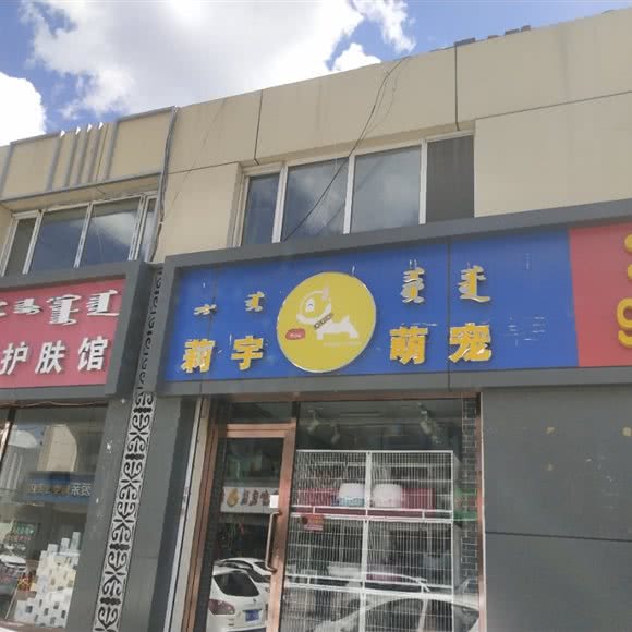 莉宇萌宠:呼和浩特市回民区